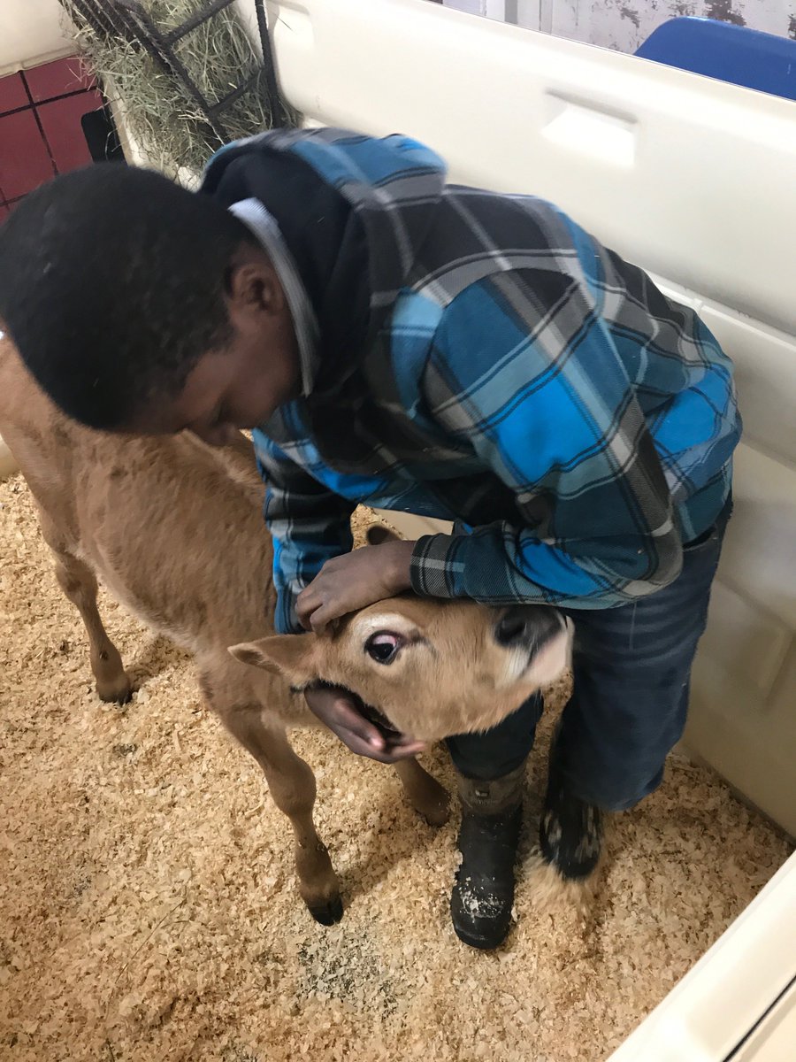 DPPathways's tweet photo. Here are some more pictures from the Vermont trip. https://t.co/AE3TZFrXqa
