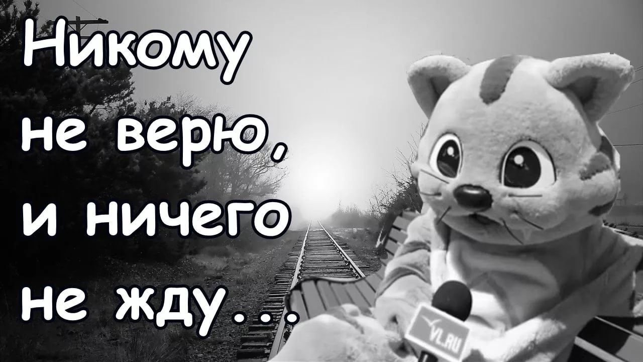 Никому не верю
