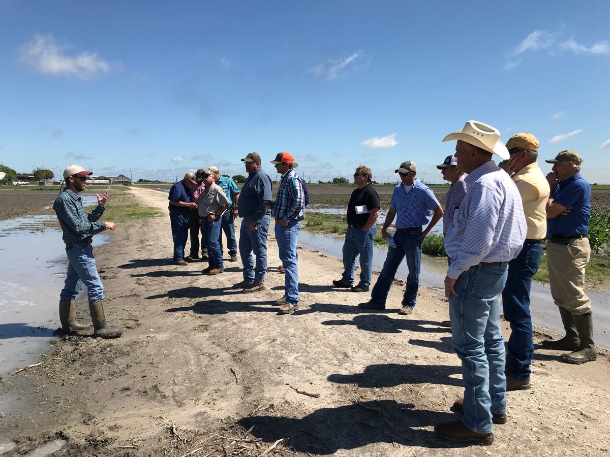 Josh McGinty talking weed control at Corpus Christi #wheat Field Day.