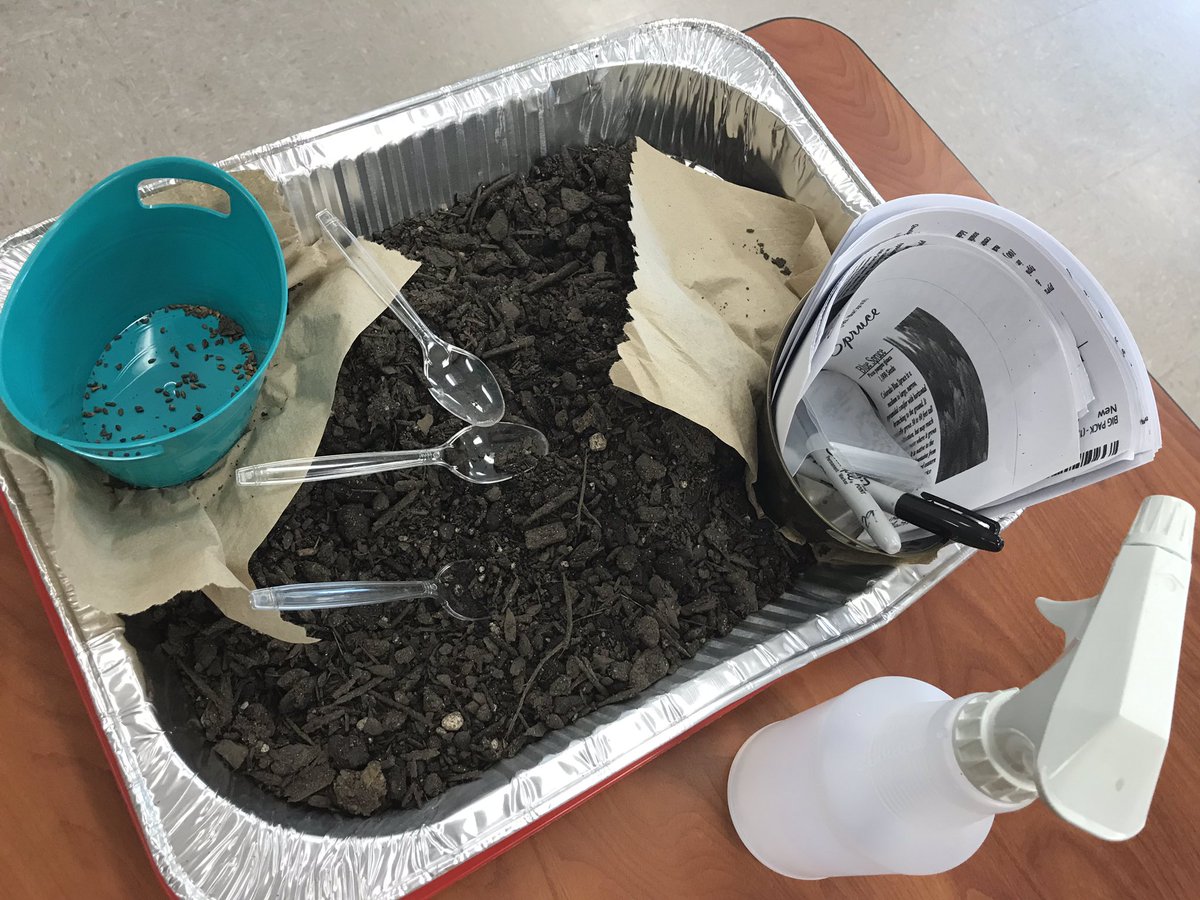 JenniferAGates's tweet photo. Ready π #exploringearthday planting, reading, responding & recording #highlevellearning @MtnViewES #LoveToSTEMHere #everystudenteveryday #EarthDay #earthdayeveryday @ReneeGarriss @WhitSpooner #thelorax https://t.co/nGod8XznnQ