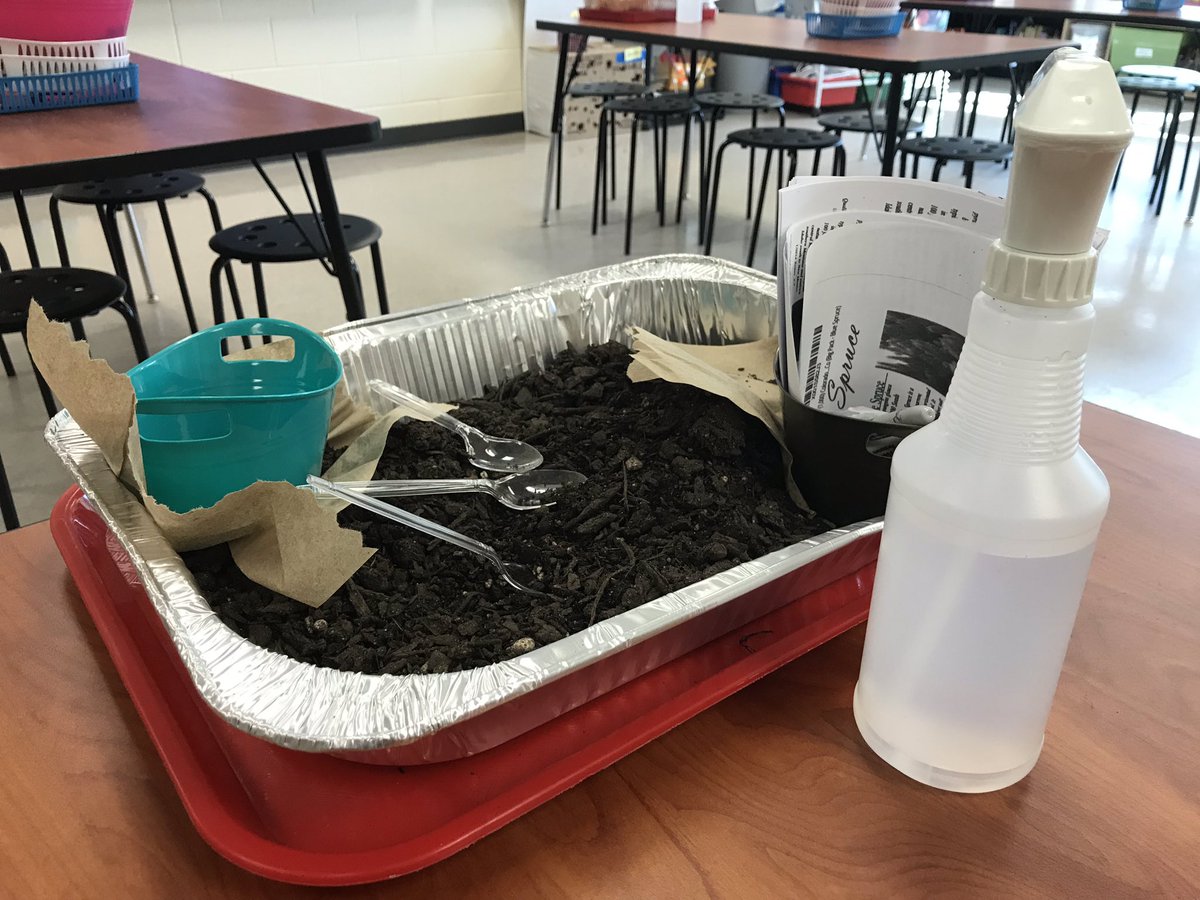 JenniferAGates's tweet photo. Ready π #exploringearthday planting, reading, responding & recording #highlevellearning @MtnViewES #LoveToSTEMHere #everystudenteveryday #EarthDay #earthdayeveryday @ReneeGarriss @WhitSpooner #thelorax https://t.co/nGod8XznnQ