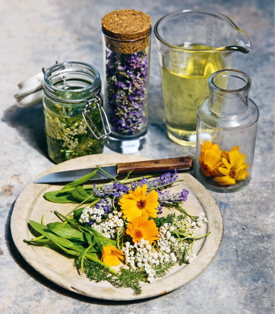 A very happy publication day to <a href="/HandmadeApoth/">Handmade Apothecary🌿</a> 🌱🌿 Out today, The Herbal Remedy Handbook is a beautiful and practical guide to soothing everyday ailments naturally. Perfect for some #EasterWeekend reading: amzn.to/2UJb5dT