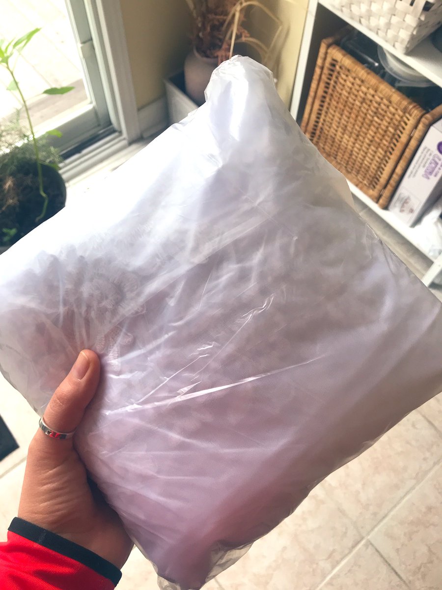 Bought something on wish.. maybe I’m a little crazy to order this online but... who can guess what it is?! ☺️ #bride #onlineshopping