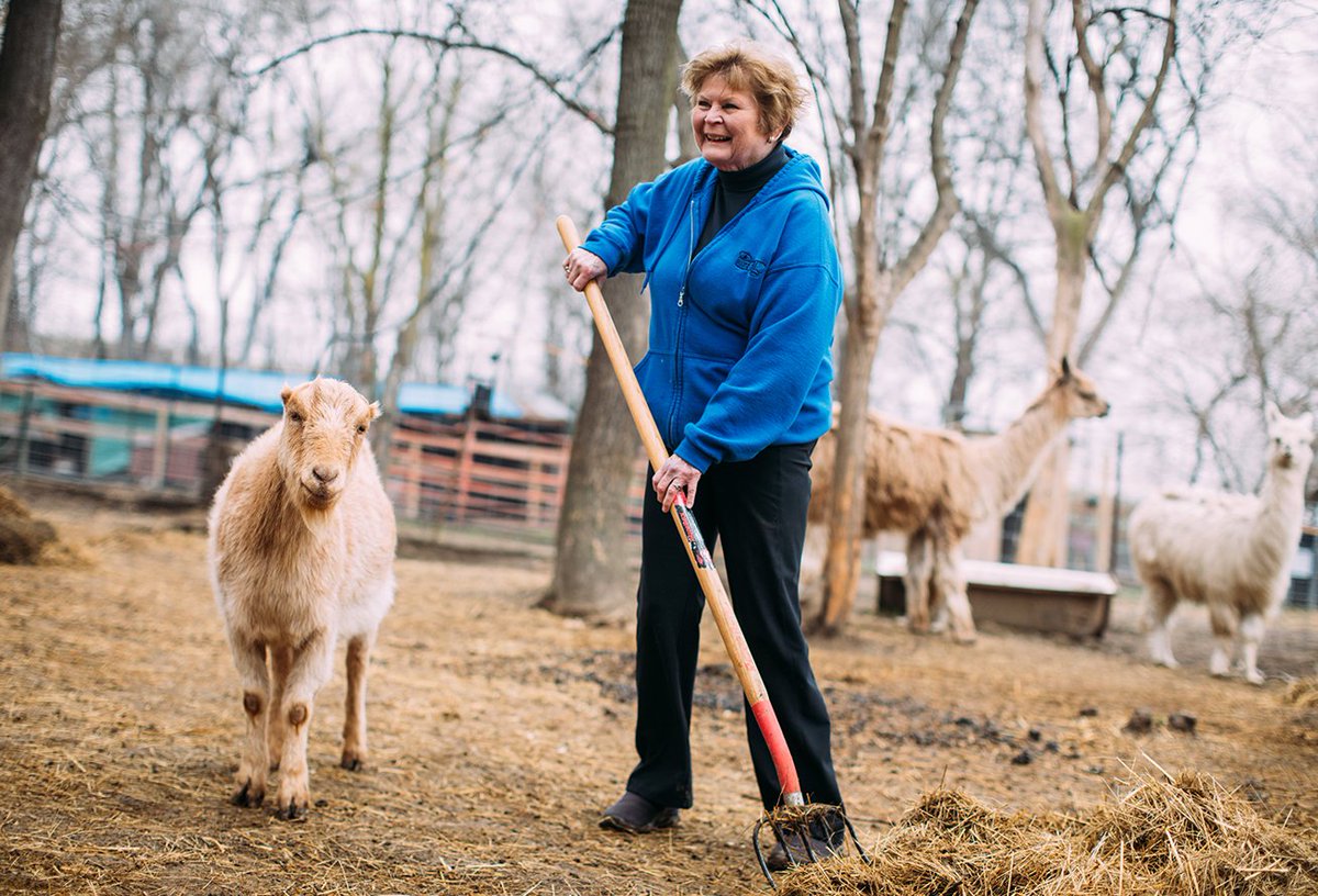 CSM_Omaha's tweet photo. Meet Marian Standeven. She loves #SpiritofService Day, as do we.
Meet Wilson the Goat. Apparently he does not. #flashbackfriday #goatpost π @ScatterJoyAcres https://t.co/wZJ9rd4qeK