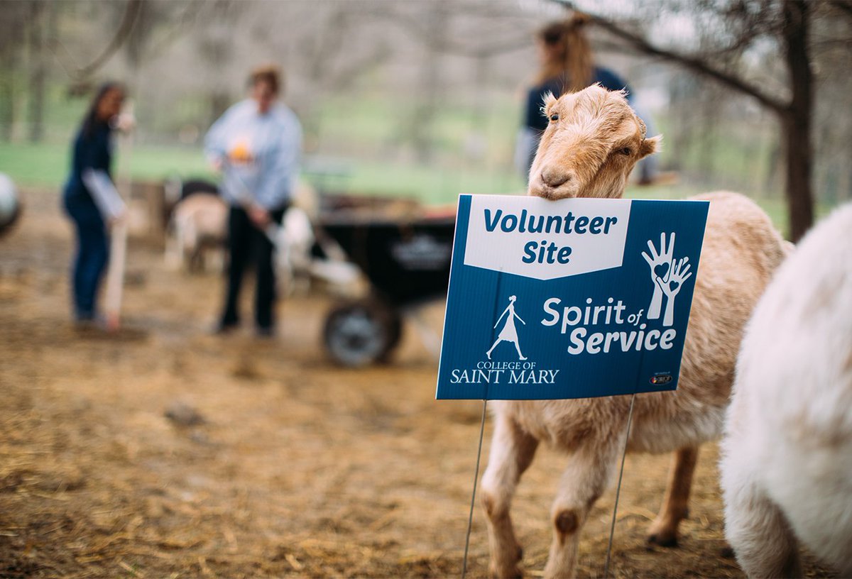 CSM_Omaha's tweet photo. Meet Marian Standeven. She loves #SpiritofService Day, as do we.
Meet Wilson the Goat. Apparently he does not. #flashbackfriday #goatpost π @ScatterJoyAcres https://t.co/wZJ9rd4qeK