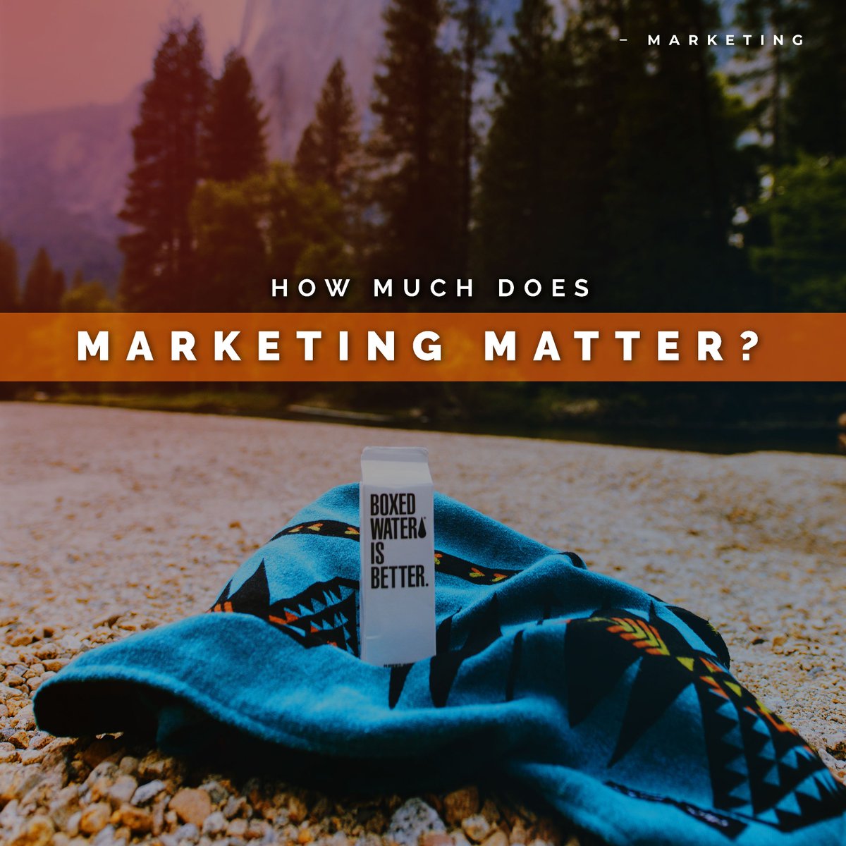 Developrise tweet media