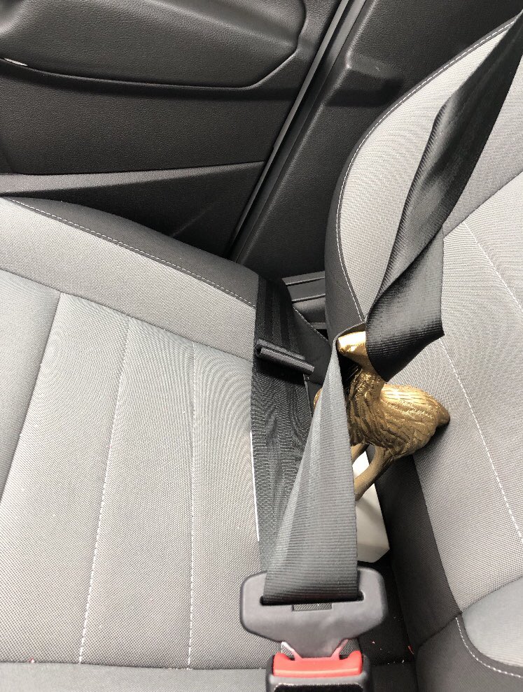 smallbizepp's tweet photo. Where will LINDA the Llama go next?? My bets are on RR! #welovecru #lifeatatt #gettinbizzy ๐ฆ๐ฆ#travelingllama @Amy__Smith1 @ATTaKKpack @costelloatt https://t.co/PBNgV6DdY9