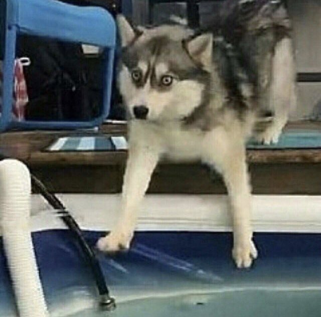 DeadOceans's tweet photo. Showing up to the show on time but it’s four bands not three. https://t.co/2ESbxXmm9O