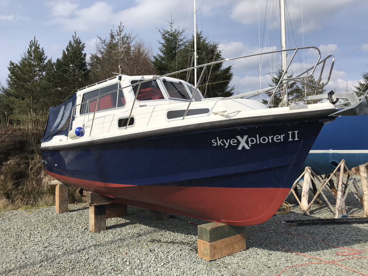 Skye Puffins Whales tweet media