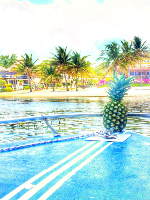 ecidevelopment's tweet photo. The tropical life...
https://t.co/GudDi2hCnl

#visitBelize #discoverBelize #offthebeatepath #explore #travel #islandlifeiscalling #beachdays #suntherapy #vitaminSea #sanpedro #ambergriscaye #grandbaymen #yourcayetoparadise #mariottresidencesbelize #ECIDevelopment #buildyourdream https://t.co/Uor49A6Xn6