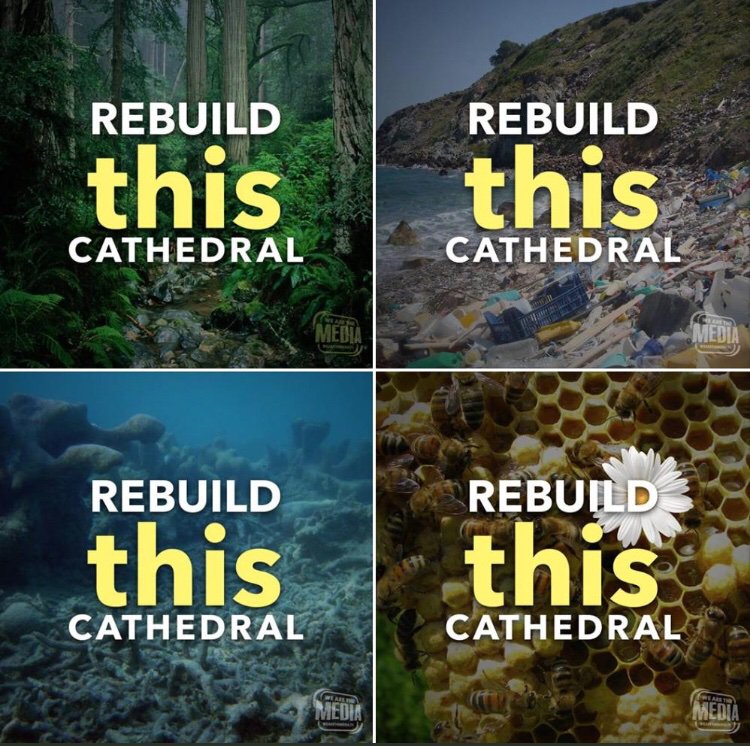 LouieGFletcher's tweet photo. We need a response on the scale of Notre Dam to tackle the #ClimateCatastrophe save our planet not just our buildings https://t.co/uvbNjb97pt
