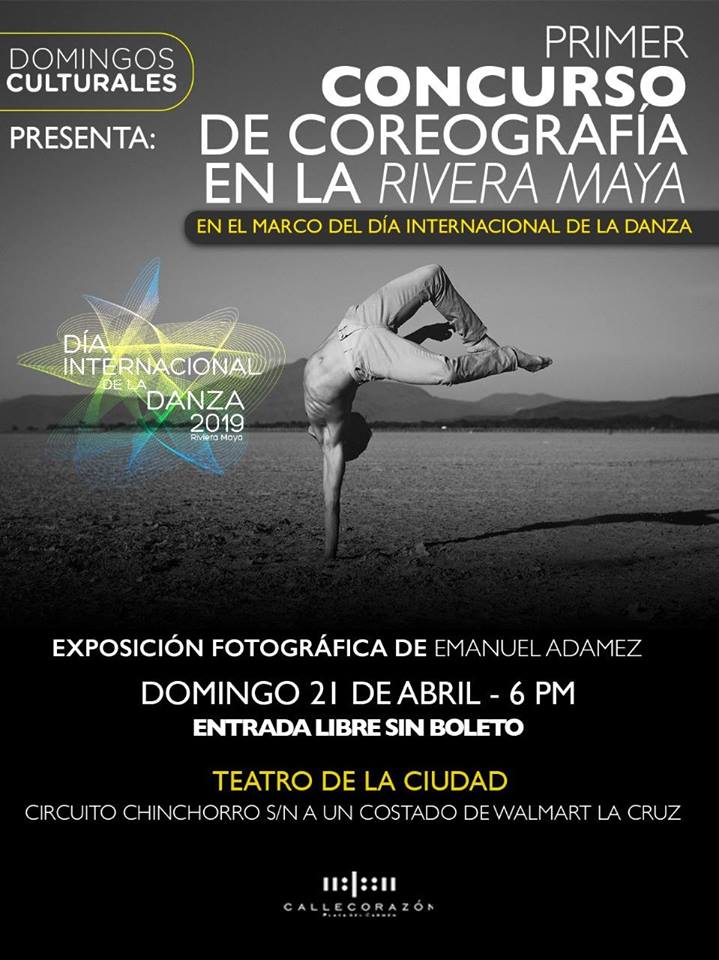 Universidad de las Artes de Playa del Carmen tweet media