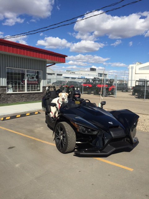 Today Jason Barteski set up David and Keeper in their new Polaris Slingshot!  Keeper, you were such a good boy you deserve your new ride!