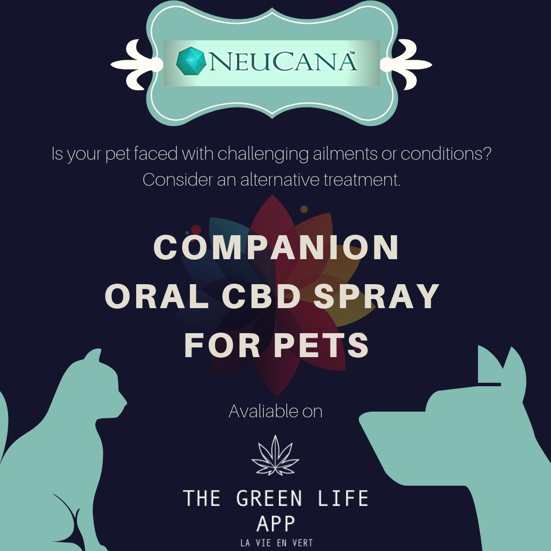TheGreenLifeApp's tweet photo. Show your fur babies some love this holiday with NeuCana's Companion Oral CBD Spray. A safe alternative for matters such as scratching, anxiety, aggression, and barking. Find it on The Green Life App.🐾 
iPhone: https://t.co/E2Y2dCqCU1
Android: https://t.co/72mSLLflpX
#pets https://t.co/x07Yf74wg1