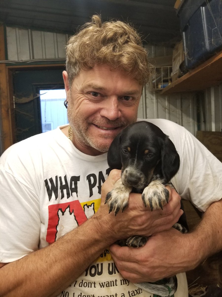 cute japanese plushies