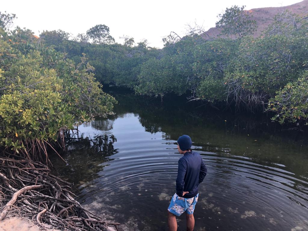 GCMarineProgram's tweet photo. PhD candidate Leticia Cavole studies #yellowsnapper in the Gulf of California #mangrove ecosystems. Catch their action #InTheField #AburtoLab https://t.co/Oz124UhFwR https://t.co/3hSiT2zeAX