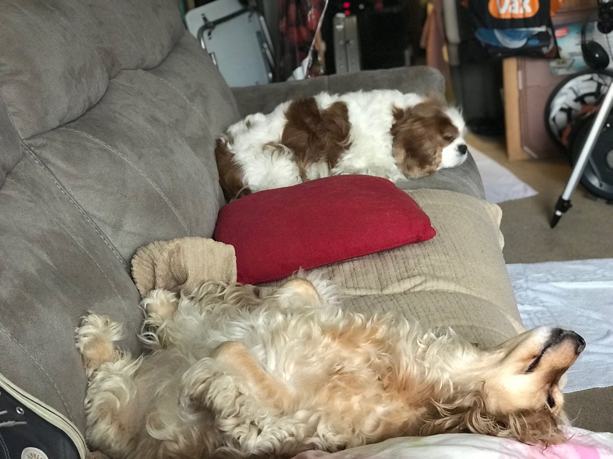 ready18's tweet image. 