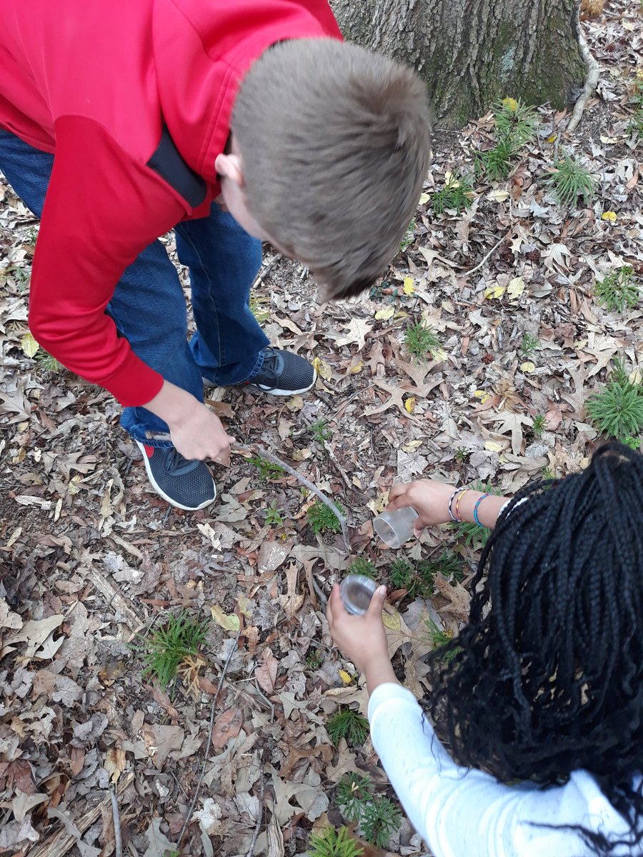 MsBarron112's tweet photo. Marshy Point BioBlitz @BCPSOutdoorSci  #5bioblitz https://t.co/wQEVNf2D5y