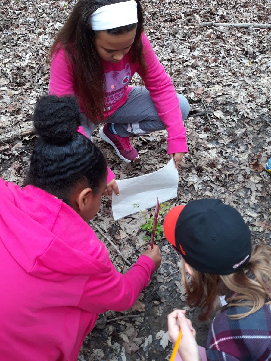 MsBarron112's tweet photo. Marshy Point BioBlitz @BCPSOutdoorSci  #5bioblitz https://t.co/wQEVNf2D5y