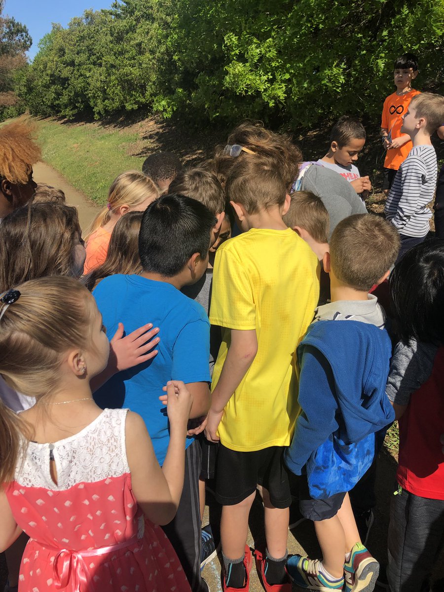 mrswirthin1st's tweet photo. Today we got to learn all about the birds along the Ballentine bird trail and see just hatched hatchlings. Thank you Mrs. Wallโs fourth grade class. @kwall911 @BESFirefly #BESFirefliesGlow #FirstgradeFireflies https://t.co/hzmePCRHKR