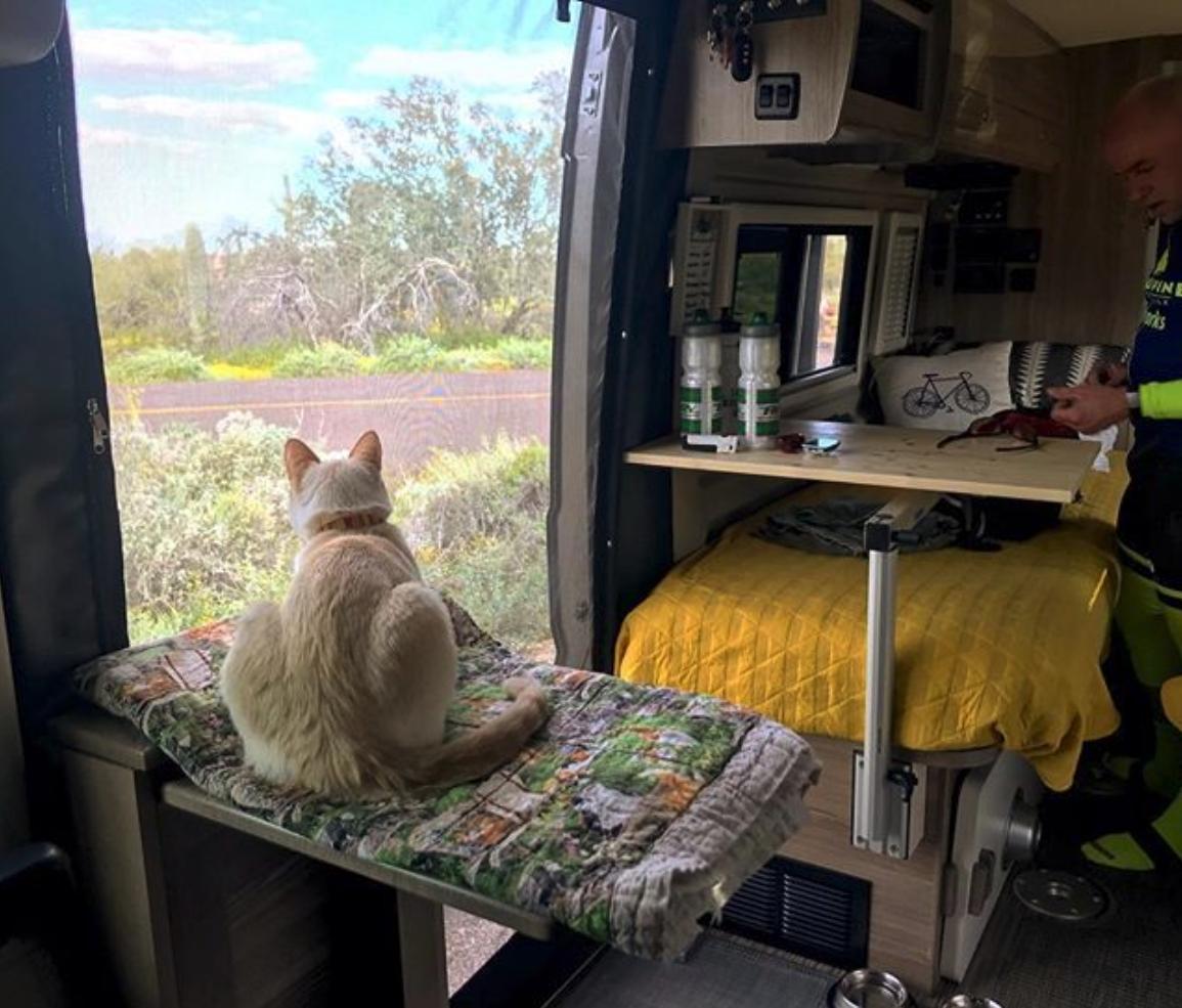 WinnebagoRVs's tweet photo. @NatlParkService A8: We've got to share some love for @TheFitRV's adventure cat, Mel! Taking in those beautiful views, and keeping a watchful eye over the Travato at #ParksLessTraveled. #FindYourPark https://t.co/7i5fVvd5xr