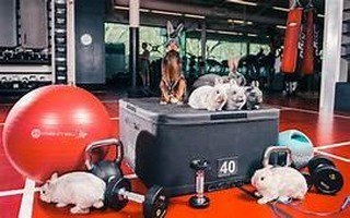 TSW_Athletic's tweet photo. We hope all are members have a healthy and enjoyable weekend with your family and friends. https://t.co/RZgPojO2WR https://t.co/weQxEDDjP8