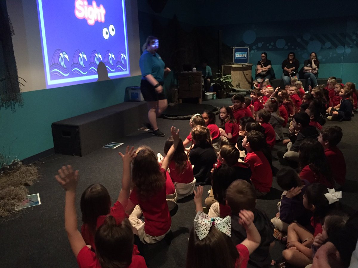 NorlieRene's tweet photo. Field trip fun! @NolaKWilson @SEALIFEgrpevine  Thank you for such a great experience. It was wonderful! https://t.co/rBjzolDrC9