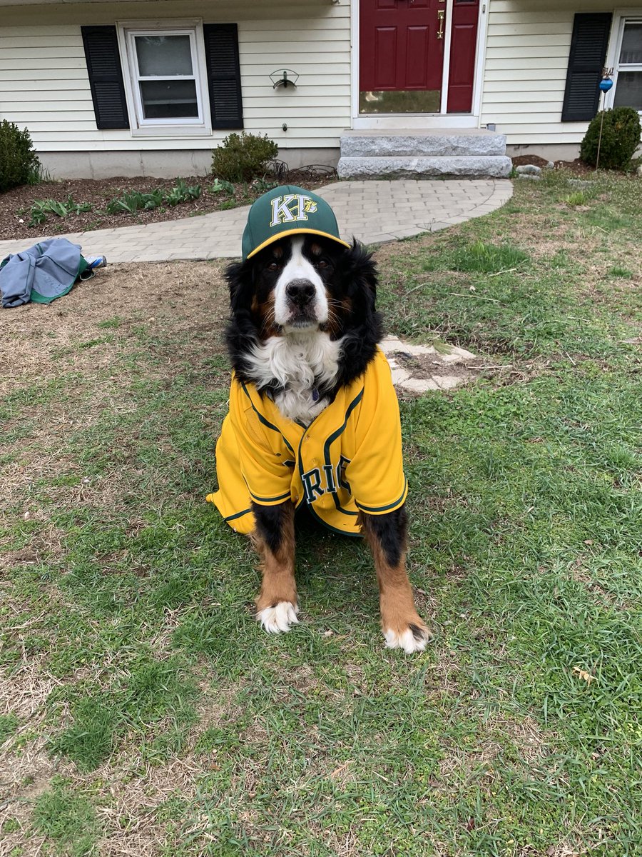 nancyweir1's tweet photo. Lily wants to be KP Baseball Mascot @KPBaseball2019 https://t.co/XHS4ZOioT5