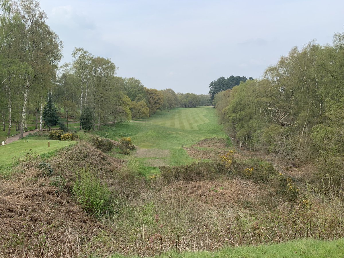 Tom Gradwell tweet media