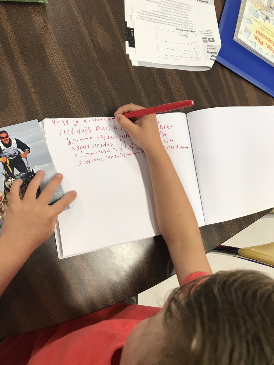 These first graders are writing independently about what they learned about sled dogs!