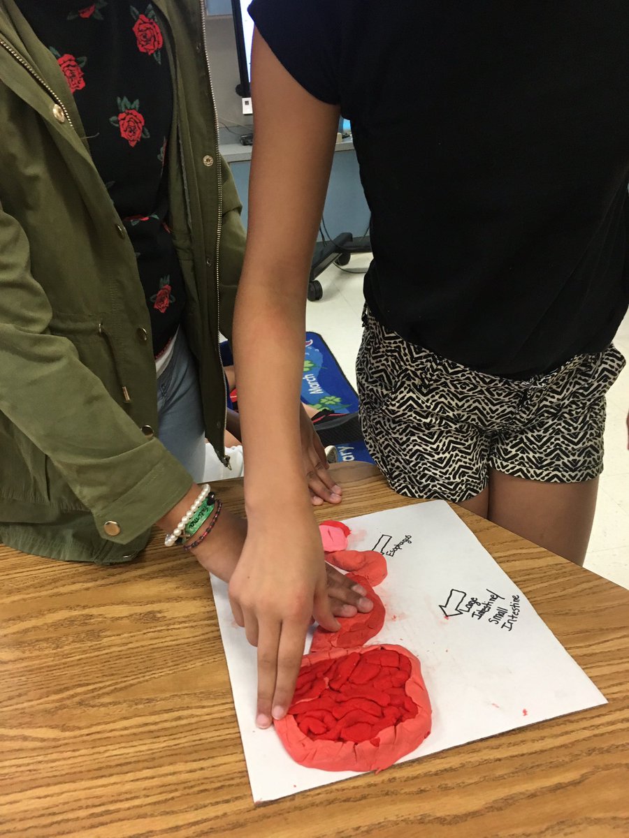 PennyCarroll4's tweet photo. 5th graders learning about body systems through the arts,creating models, posters, drawings and skits. @BentonHeightsES @UCPS_MonroeNC https://t.co/gZrOjjPLSr