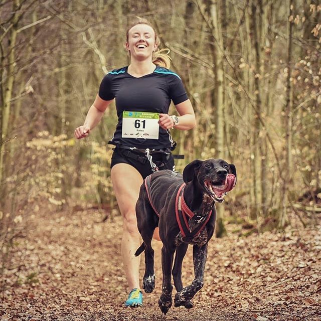 HappyDoggoShop's tweet photo. MTeamwork! Was für ein absolut genialer Wettkampf! 💪🏻❤🐶☀️ .
.
Repost @sportyrabsy
・・・
.
 #dogofinstagram #hund #dogsport #instadog #doglife #happydog #nonstopdogwear #wettkampf #running #hiking #canicross https://t.co/CuMKqYmEqD