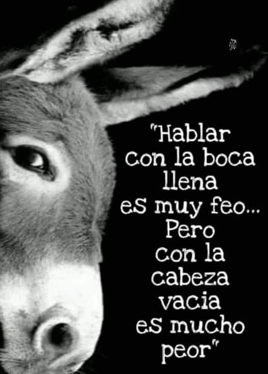 Resultado de imagen para muchas frases