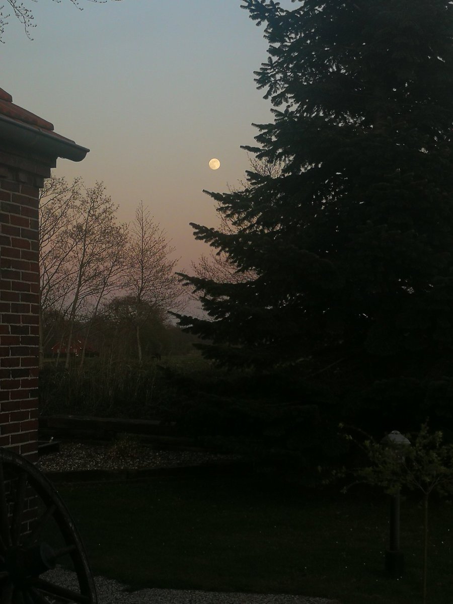 mitMirGermania's tweet photo. De un lado y del otro desde mi ventana.
No viviré en el mejor lugar del mundo, pero ésto es TODO mi mundo... ,🏘️🙏💕
#felizConPoco
#miCasa #Alemania #sunset #luna #mond #halbemond https://t.co/rlRdTyDIr7