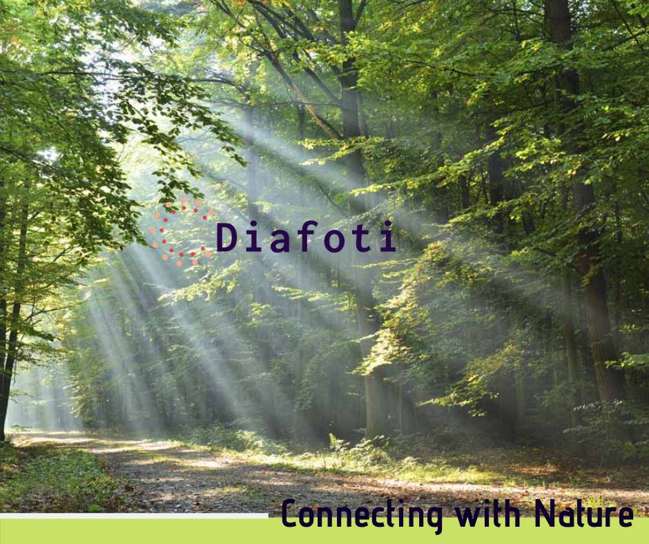 diafoti's tweet photo. We spend so much of our precious time at work or simply around the house that we just forget how Nature is so incredible
https://t.co/crZL7olCEK
#willness #spiritual #experience #sharing #light #lifecoach #coffee #lifeculture #people #greatpeople #balance #product #life https://t.co/k1HIfkAtPw