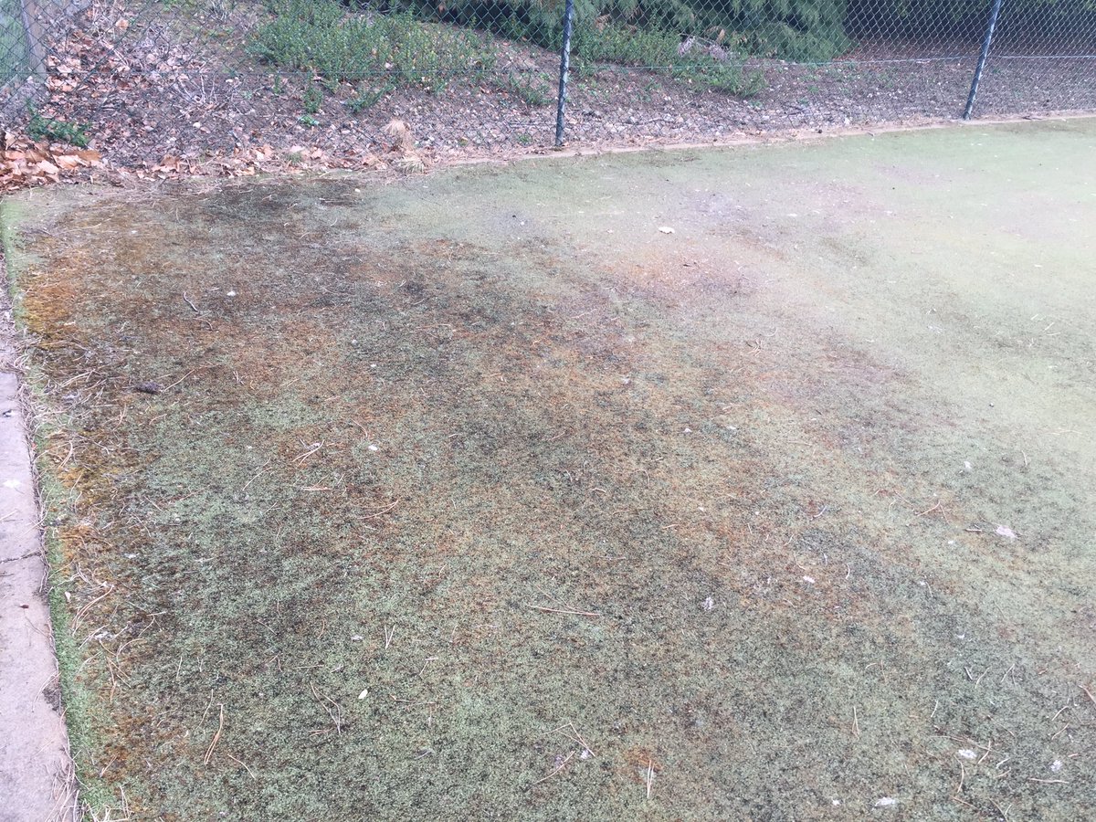 AtcHardy's tweet photo. Tennis Court Maintenance at its best https://t.co/l5qmOzQS6i