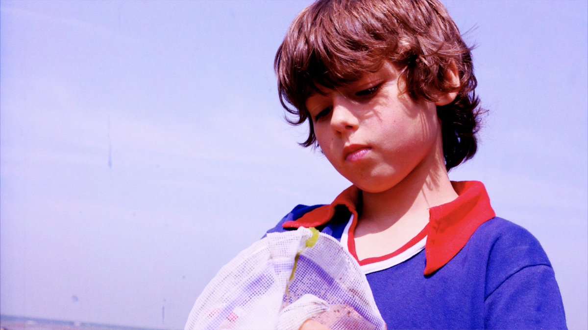 Ninja Penguin tweet media