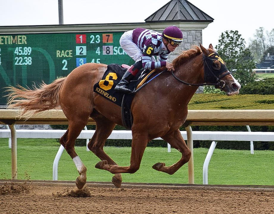 Jockey Tyler Gaffalione tweet media