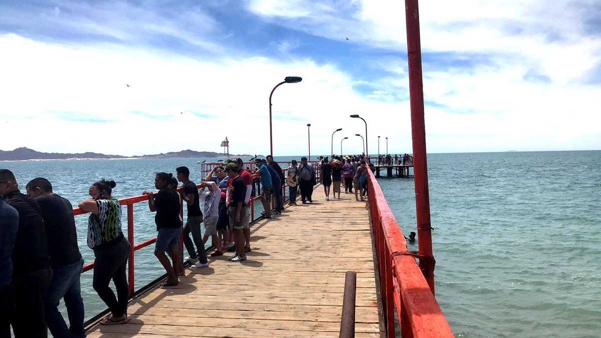 EL IMPARCIAL LOCAL tweet media