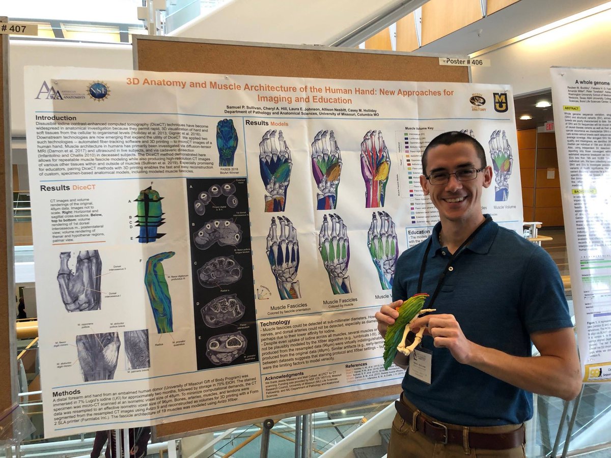 AnatomyGrads's tweet photo. IA graduate students Faye McGechie, Spiro Sullivan, and @Anthro_Austin presented their work this week at the @BondLifeSci MU Bond Life Sciences Week! https://t.co/QvzNren1y8