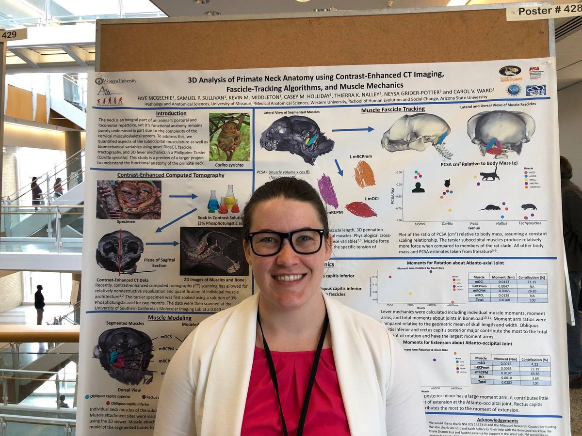 AnatomyGrads's tweet photo. IA graduate students Faye McGechie, Spiro Sullivan, and @Anthro_Austin presented their work this week at the @BondLifeSci MU Bond Life Sciences Week! https://t.co/QvzNren1y8