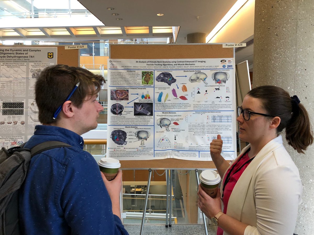 AnatomyGrads's tweet photo. IA graduate students Faye McGechie, Spiro Sullivan, and @Anthro_Austin presented their work this week at the @BondLifeSci MU Bond Life Sciences Week! https://t.co/QvzNren1y8