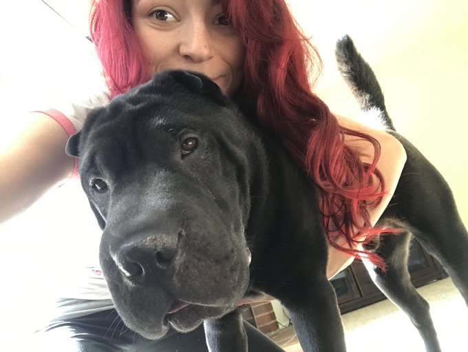 Hope you're excited to see me on cam tomorrow around 6pm pst 😝 https://t.co/uEClBZkdfI<a href="/tag/onmfc"class="tags"><span>#onmfc</span></a>