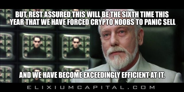 The Crypto Harbour tweet media