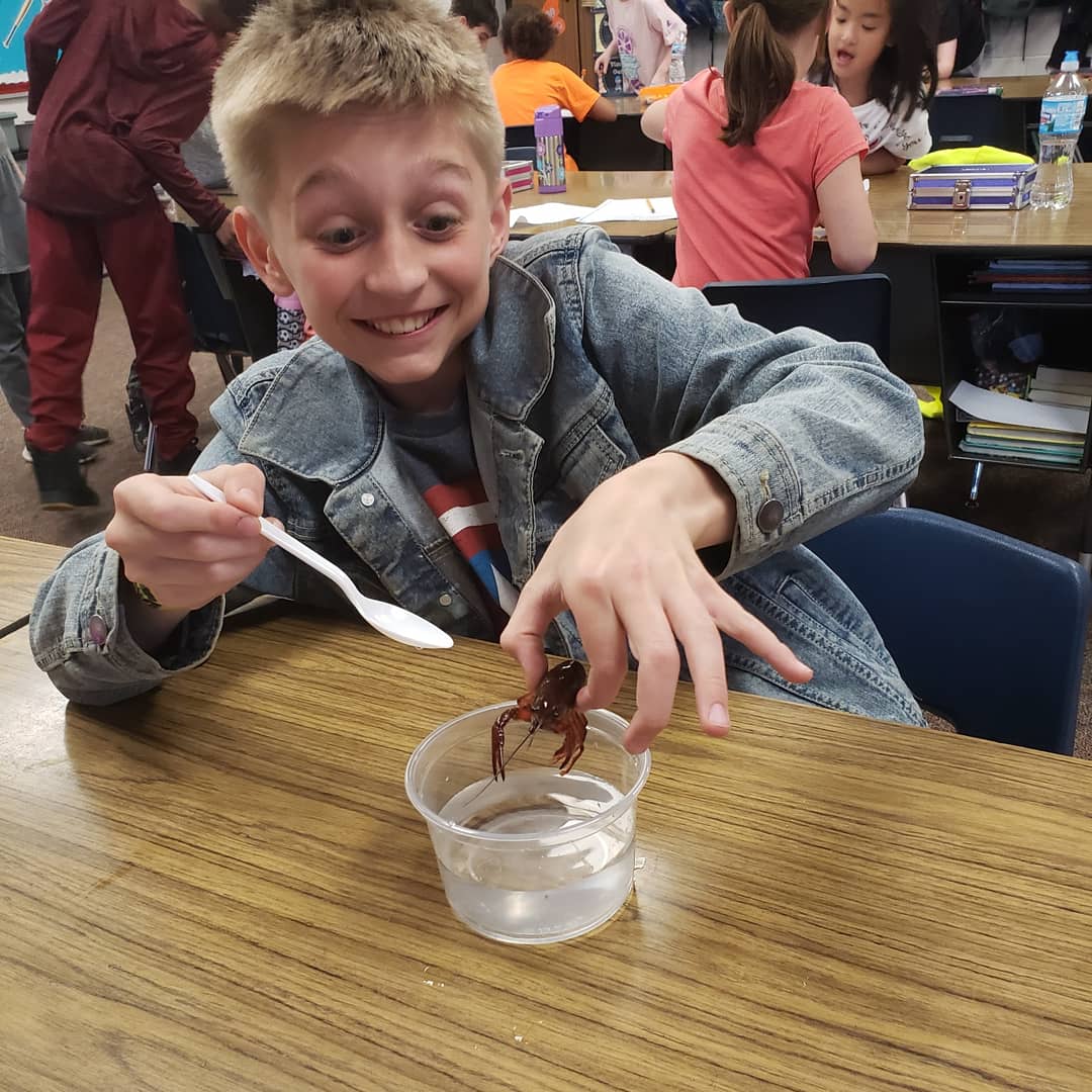 JessDeLuca3's tweet photo. The crayfish have arrived! #BannerFamily #323learns https://t.co/a0uzfPqGUw