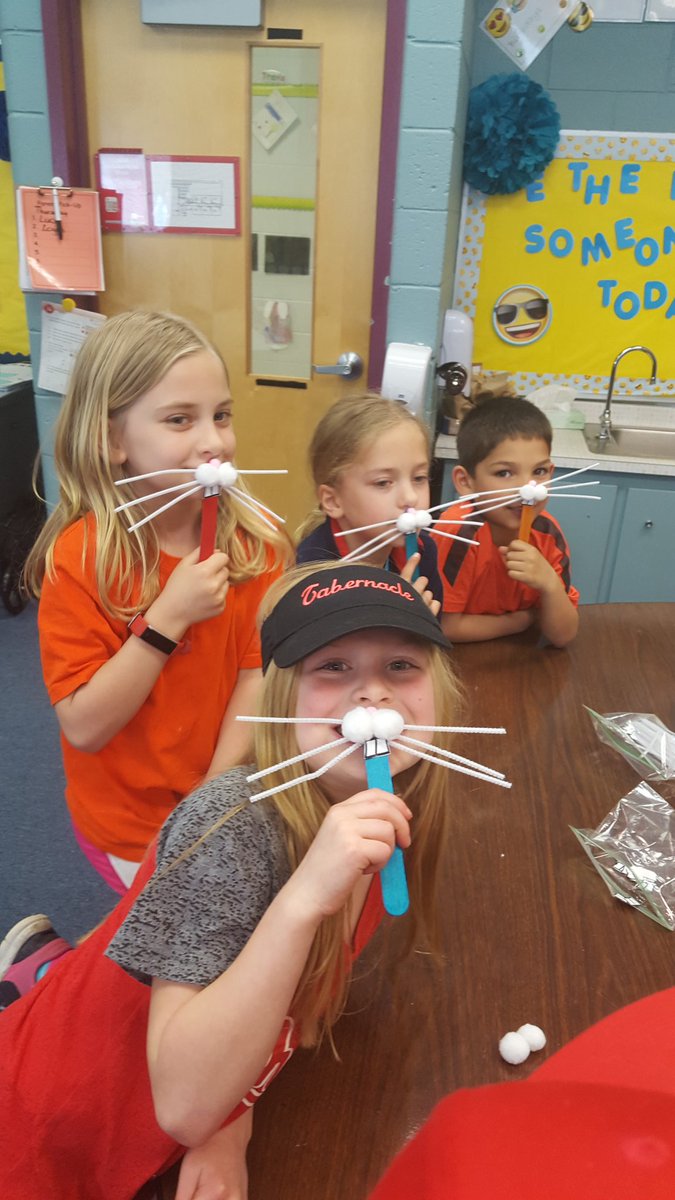 Donna Layne tweet media