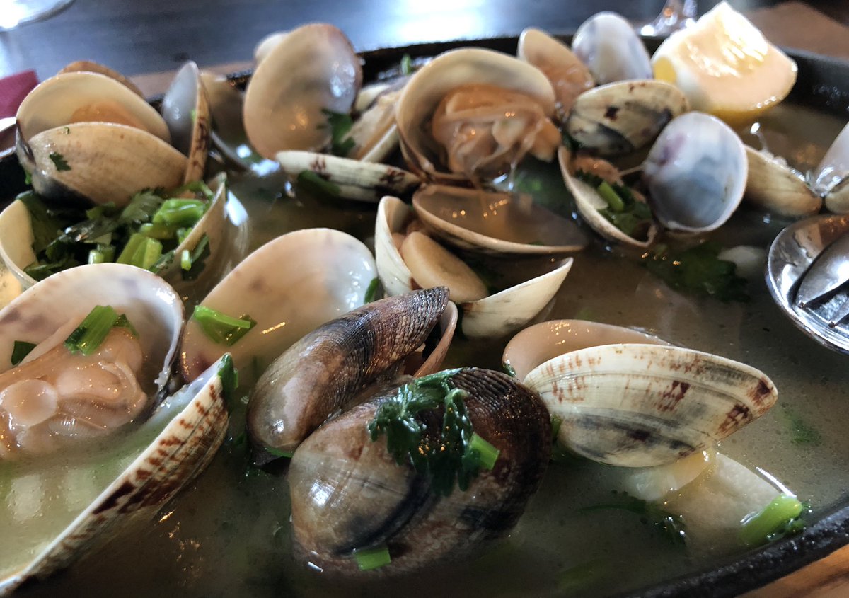 Averyslondon's tweet photo. Yes for me this is #Heaven The #Plumpest of #Clams at their Very #Best Enjoyed at #Tibinos #FozDoArelho @TheCat_Max @Averyslondon https://t.co/lU6wuUum7z