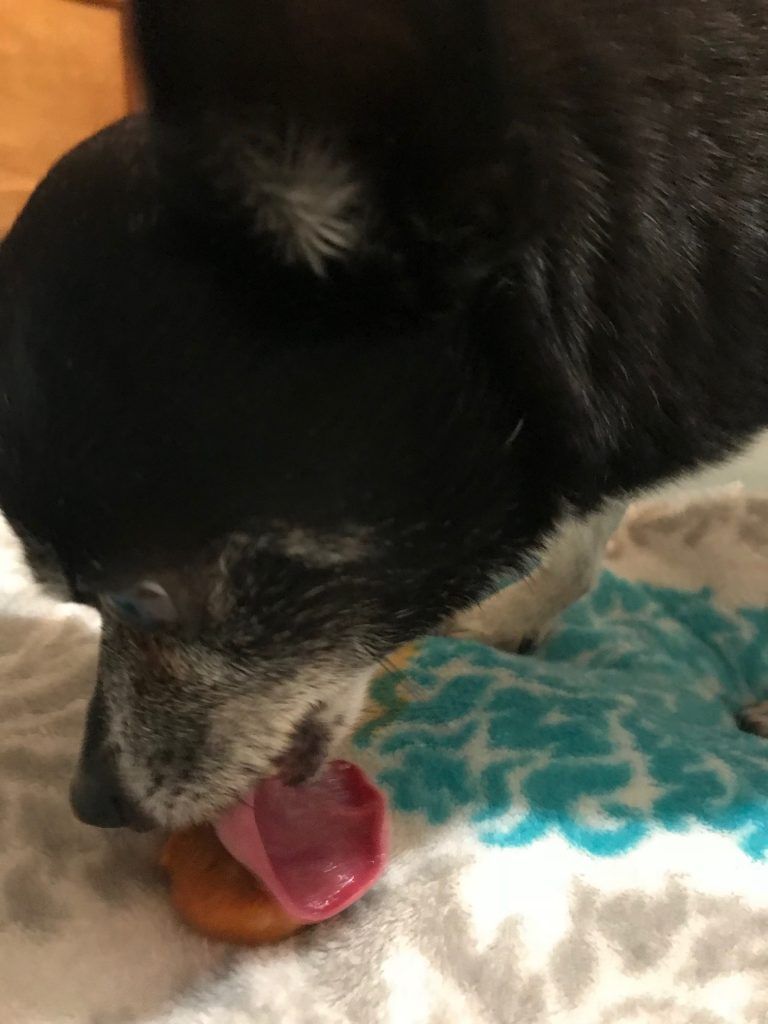 EatSmartScales's tweet photo. When changing your pets' diet, it's important to monitor their weight with a pet scale. πΆBonus: Get an easy Healthy Sweet Potato & Green Bean Frozen Dog Treat recipe from @laborders2000. https://t.co/TY99t1Ze68 #review #petscale #healthypets #recipe https://t.co/9EPzmH53dP