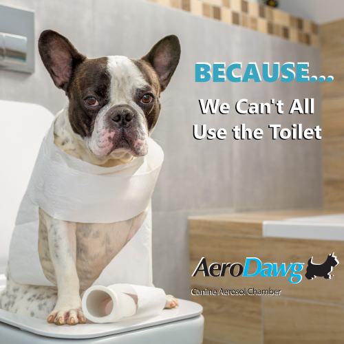 TMIAnimalHealth's tweet photo. Is bladder control a problem? Long term use of oral steroids to manage canine #bronchitis can cause increased thirst and urination in dogs. Ask your vet about switching to an inhaler with #AeroDawg to help your friend stay in control of their bladder. https://t.co/0q6qqVRuGM
#dog https://t.co/LGpYF9FOpT