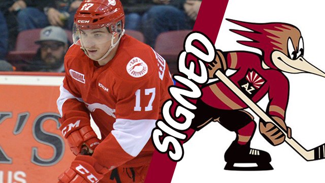 AHL;  "Roadrunners sign Howdeshell to one-year contract"
soogreyhounds.com/article/roadru…